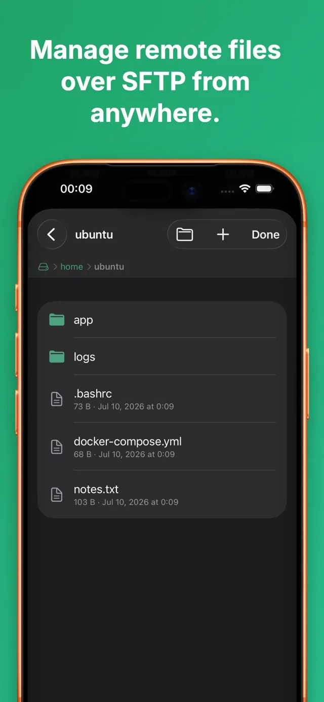 ServerPanel screenshot 4