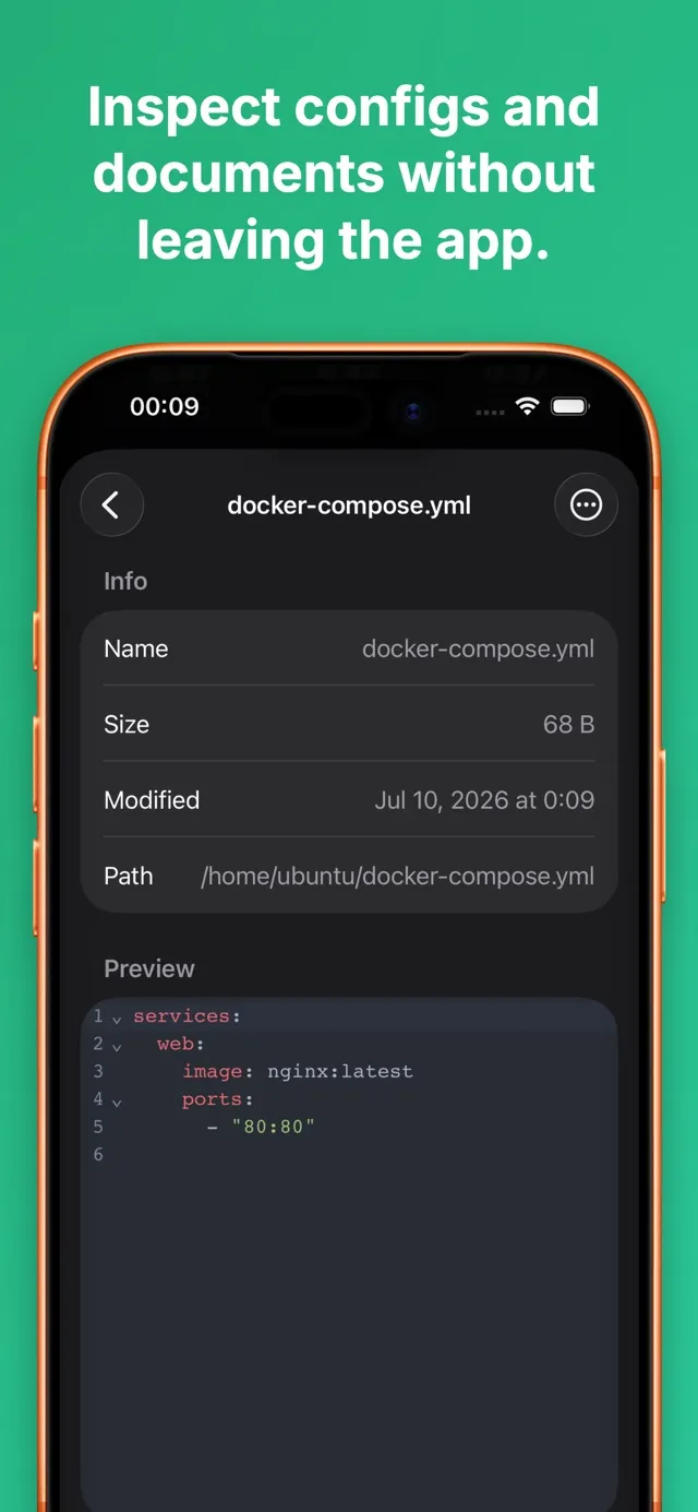 ServerPanel screenshot 5