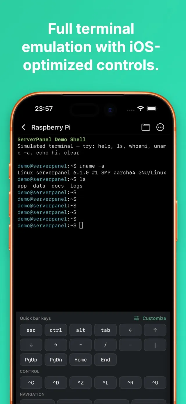 ServerPanel screenshot 8